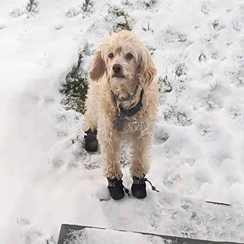 4 Packs Dogs Anti-Slip Boots